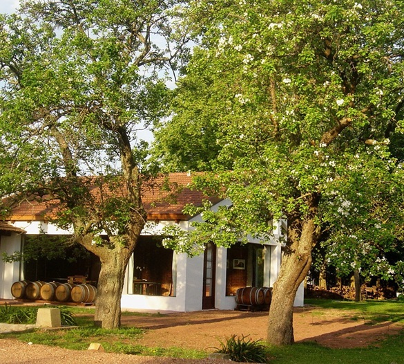 Bodegas Carrau: Una Tradición Vitivinícola que Trasciende Generaciones