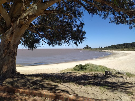 Playa de Pajas Blancas: Un Refugio Natural en Montevideo